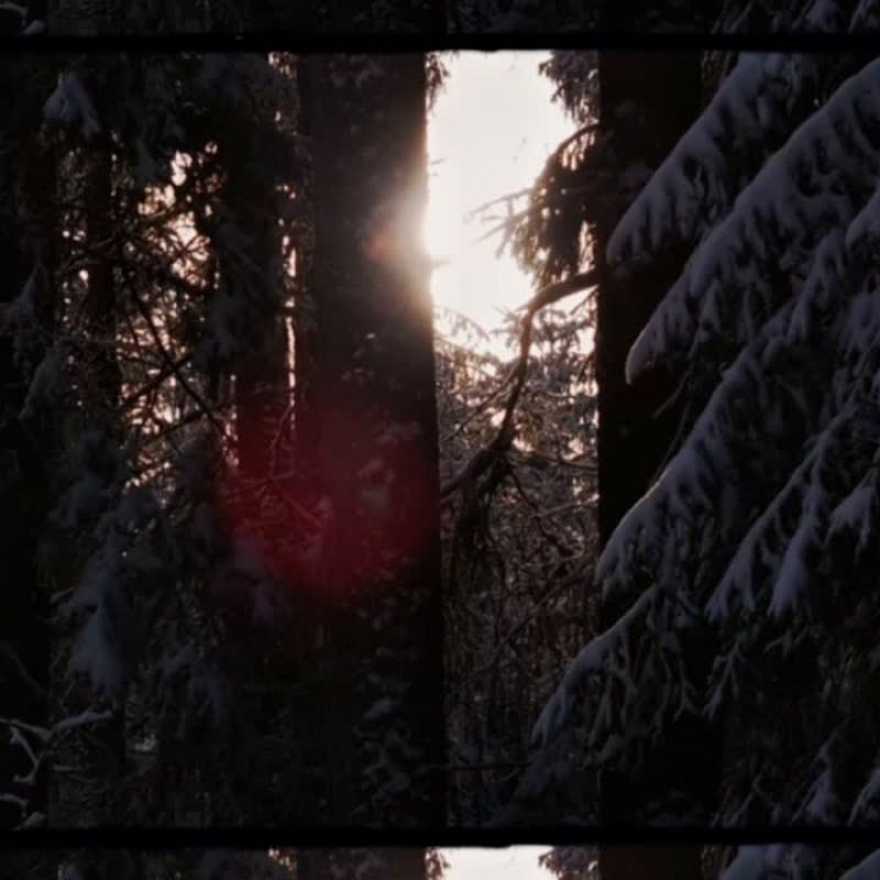 ALL SPRUCED UP WAX REFILL