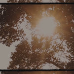 Buhn Soft Focus Candle video