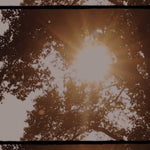 SOFT FOCUS REED DIFFUSER - Buhn